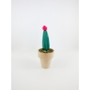 Cactus 2, chez laurette, Petit cactus en pâte polymère pour la maison dans son petit pot en bois