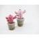  Petit cactus décoratif pour la maison, pot en béton | Rose / noir 